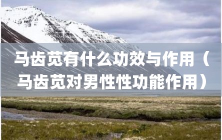 马齿苋有什么功效与作用（马齿苋对男性性功能作用）