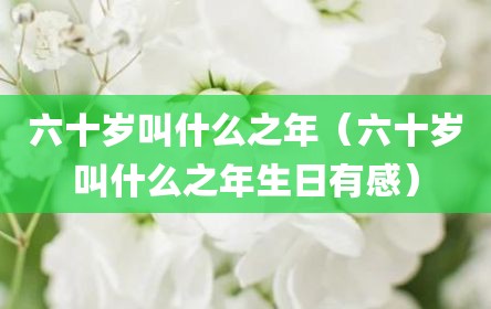 六十岁叫什么之年（六十岁叫什么之年生日有感）
