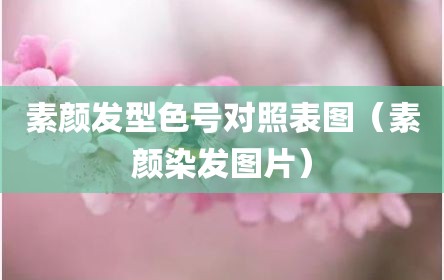 素颜发型色号对照表图（素颜染发图片）