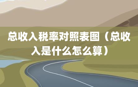 总收入税率对照表图（总收入是什么怎么算）
