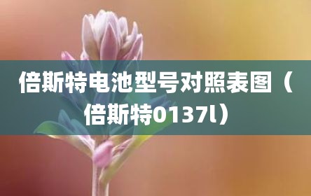 倍斯特电池型号对照表图（倍斯特0137l）