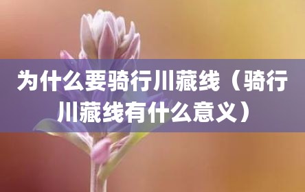 为什么要骑行川藏线（骑行川藏线有什么意义）