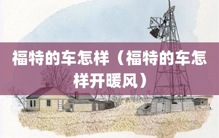 福特的车怎样（福特的车怎样开暖风）
