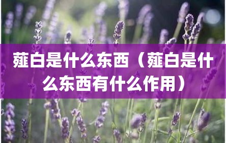 薤白是什么东西（薤白是什么东西有什么作用）