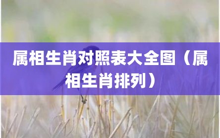 属相生肖对照表大全图（属相生肖排列）