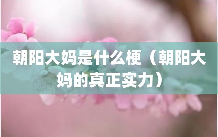 朝阳大妈是什么梗（朝阳大妈的真正实力）