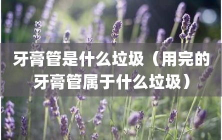 牙膏管是什么垃圾（用完的牙膏管属于什么垃圾）