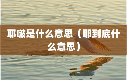 耶啵是什么意思（耶到底什么意思）