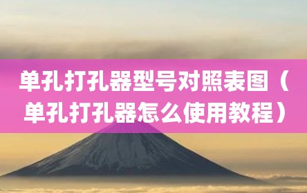 单孔打孔器型号对照表图（单孔打孔器怎么使用教程）