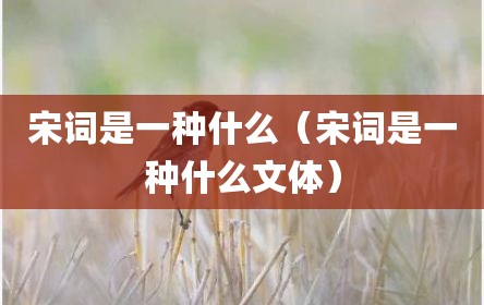 宋词是一种什么（宋词是一种什么文体）