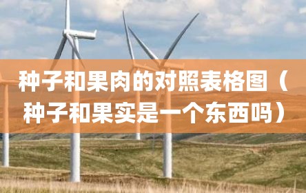 种子和果肉的对照表格图（种子和果实是一个东西吗）