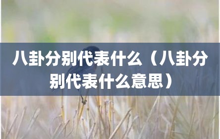 八卦分别代表什么（八卦分别代表什么意思）