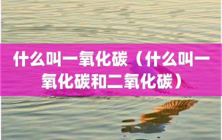 什么叫一氧化碳（什么叫一氧化碳和二氧化碳）