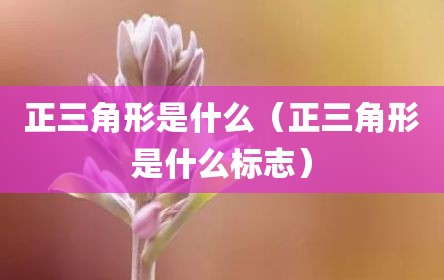 正三角形是什么（正三角形是什么标志）