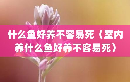 什么鱼好养不容易死（室内养什么鱼好养不容易死）