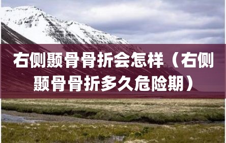 右侧颞骨骨折会怎样（右侧颞骨骨折多久危险期）
