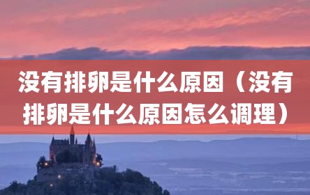 没有排卵是什么原因（没有排卵是什么原因怎么调理）