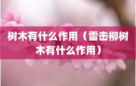 树木有什么作用（雷击柳树木有什么作用）