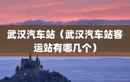 武汉汽车站（武汉汽车站客运站有哪几个）