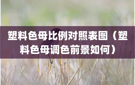 塑料色母比例对照表图（塑料色母调色前景如何）