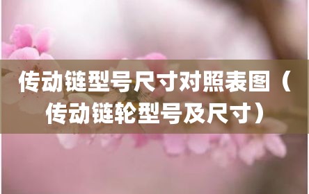 传动链型号尺寸对照表图（传动链轮型号及尺寸）