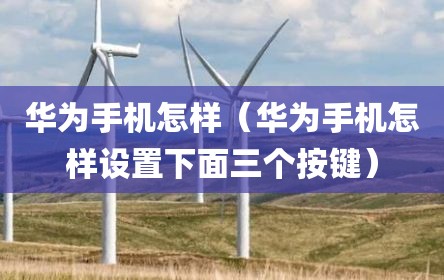 华为手机怎样（华为手机怎样设置下面三个按键）