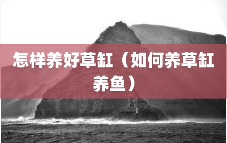 怎样养好草缸（如何养草缸养鱼）