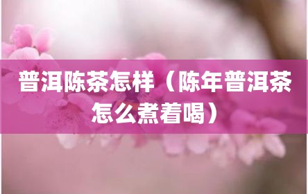 普洱陈茶怎样（陈年普洱茶怎么煮着喝）
