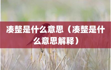 凑整是什么意思（凑整是什么意思解释）