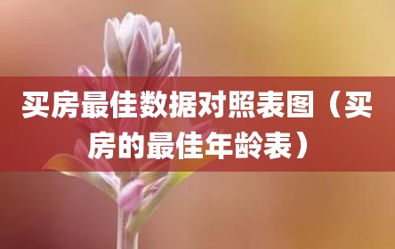 买房最佳数据对照表图（买房的最佳年龄表）