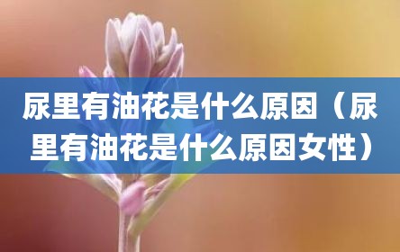 尿里有油花是什么原因（尿里有油花是什么原因女性）