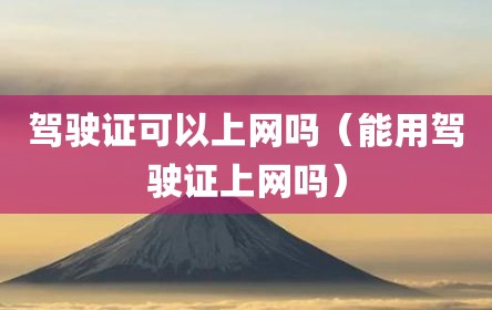 驾驶证可以上网吗（能用驾驶证上网吗）