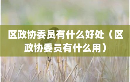 区政协委员有什么好处（区政协委员有什么用）