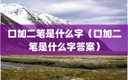 口加二笔是什么字（口加二笔是什么字答案）