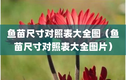 鱼苗尺寸对照表大全图（鱼苗尺寸对照表大全图片）