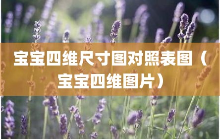 宝宝四维尺寸图对照表图（宝宝四维图片）
