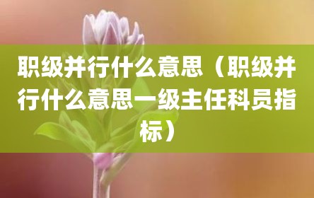 职级并行什么意思（职级并行什么意思一级主任科员指标）
