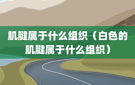 肌腱属于什么组织（白色的肌腱属于什么组织）