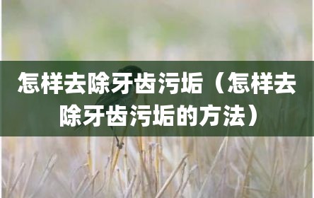 怎样去除牙齿污垢（怎样去除牙齿污垢的方法）