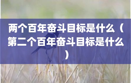两个百年奋斗目标是什么（第二个百年奋斗目标是什么）