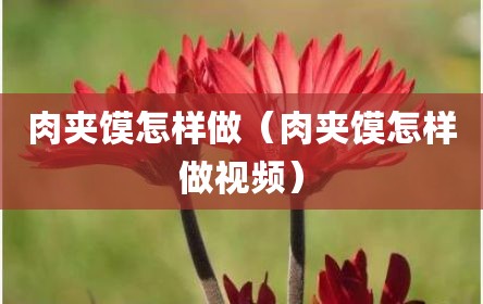 肉夹馍怎样做（肉夹馍怎样做视频）
