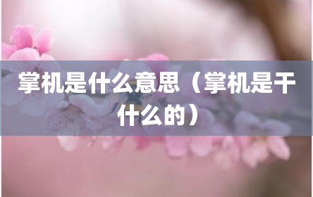 掌机是什么意思（掌机是干什么的）