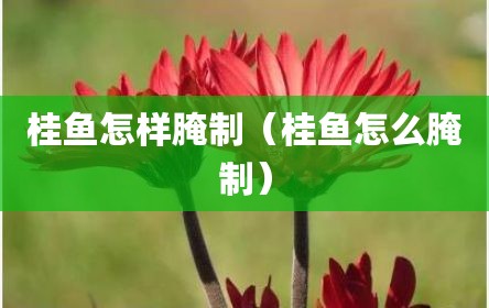 桂鱼怎样腌制（桂鱼怎么腌制）