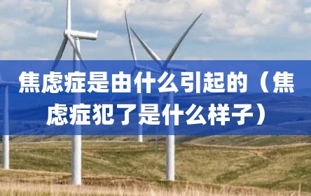 焦虑症是由什么引起的（焦虑症犯了是什么样子）