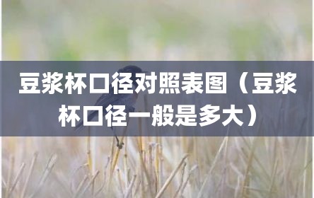 豆浆杯口径对照表图（豆浆杯口径一般是多大）