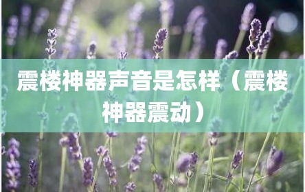 震楼神器声音是怎样（震楼神器震动）
