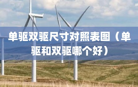 单驱双驱尺寸对照表图（单驱和双驱哪个好）