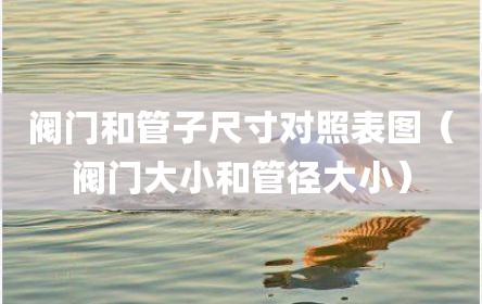 阀门和管子尺寸对照表图（阀门大小和管径大小）