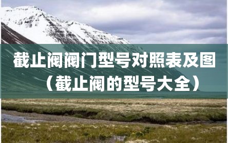 截止阀阀门型号对照表及图（截止阀的型号大全）
