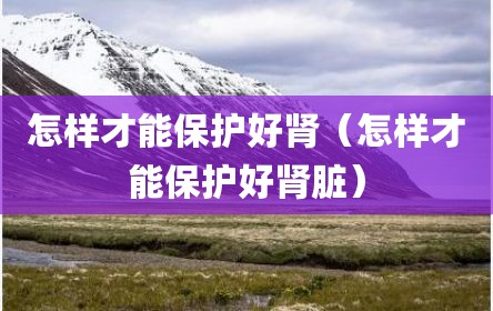 怎样才能保护好肾（怎样才能保护好肾脏）